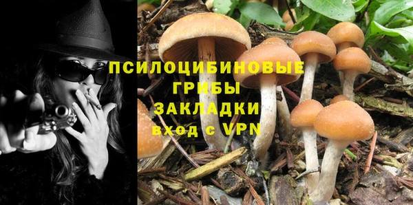 мескалин Армянск